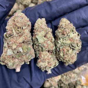 Cannabis 3