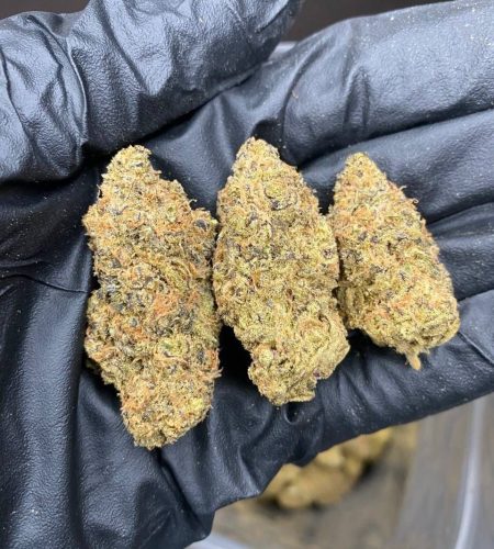 buy-weed-in-hamburg-1.jpeg